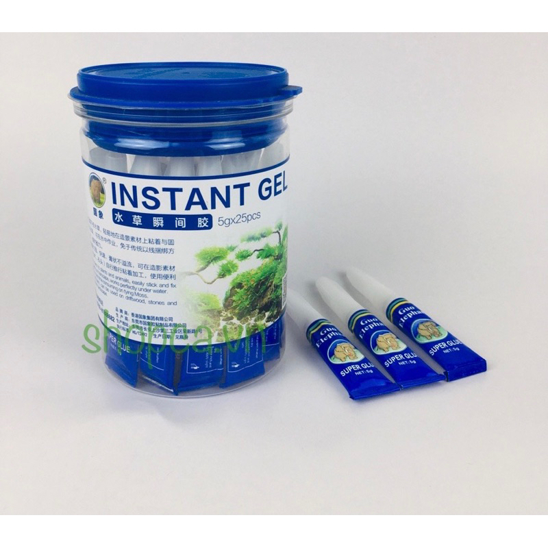 KEO DÁN RÊU xanh và cây thuỷ sinh trên đá gỗ phom