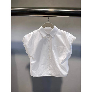 Sơ mi tay bồng cánh rơi(SALE)