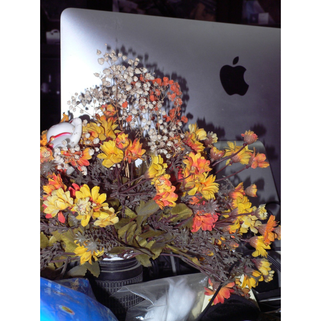 Máy ảnh kỹ thuật số Lumix DMC LX1 cổ điển đẹp