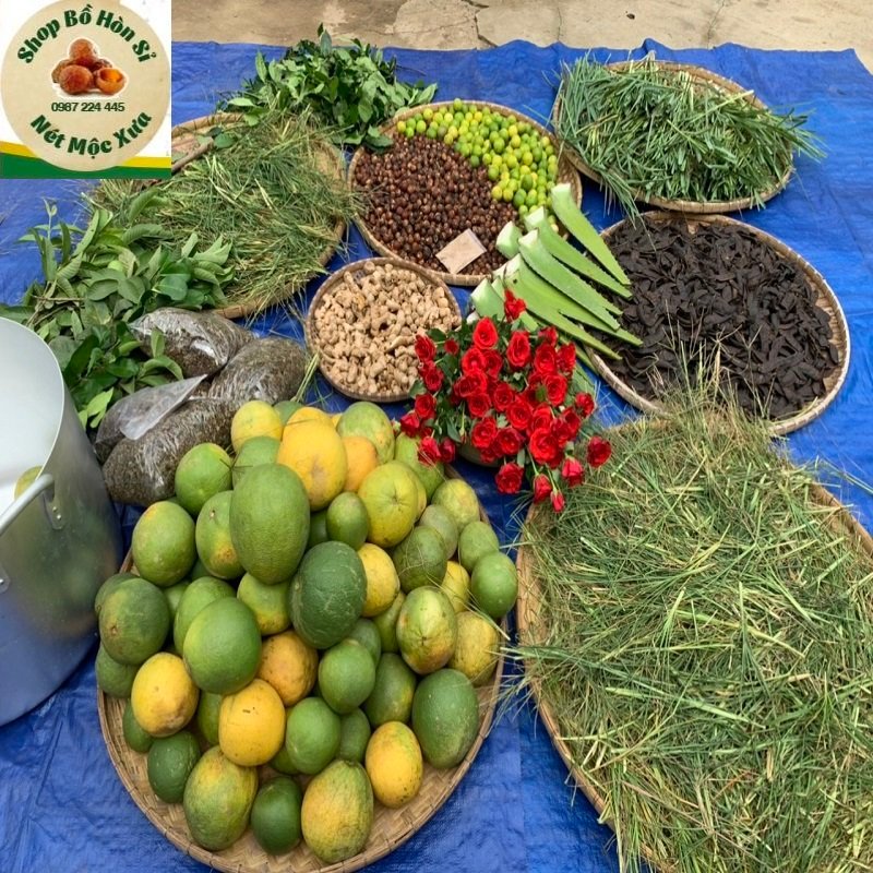 Bồ kết mix thảo dược