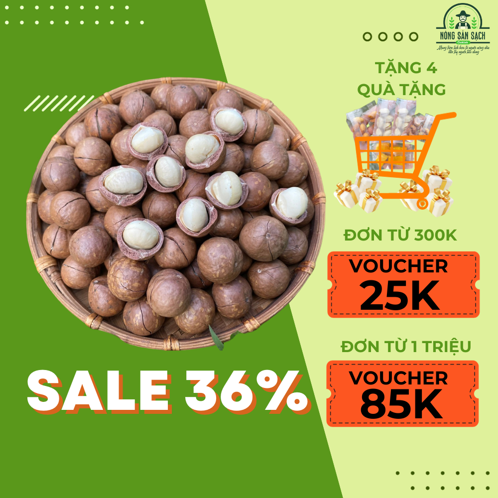 Hạt macca Daklak (Macadamia) nhà trồng ORGANIC cung cấp dinh dưỡng cho mọi đối tượng đặc biệt phù hợp với mẹ bầu - NSSDL