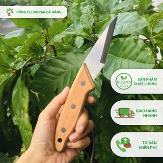 Dao cắt ghép cành siêu bén cán gỗ – Công cụ bonsai Đà Nẵng
