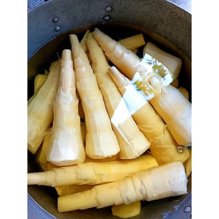 1 cây tre giống tứ quý
