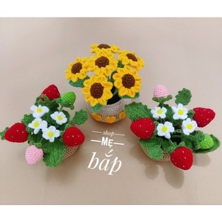 Chậu Hoa Hướng Dương Bằng Len