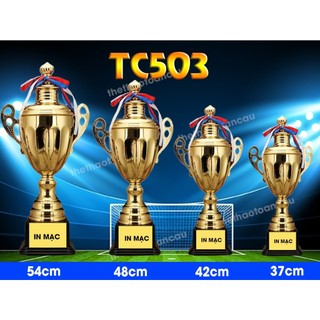 Cúp thể thao, cúp bóng đá đủ loại , đủ size hàng đẹp