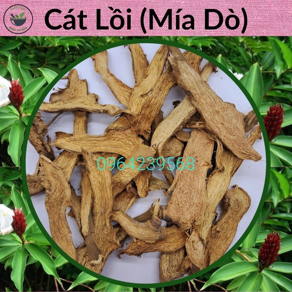 Củ Cát Lồi - Loại đẹp sấy khô, túi 500g và túi 1kg