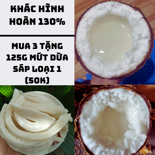 Dừa sáp, đặc sản trà vinh loại đặc kẹo (4 người dùng ) - Tấn Lộc