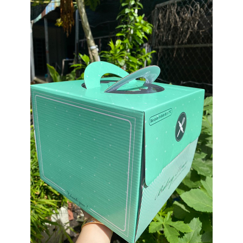 COMBO 10 hộp bánh kem kèm đế