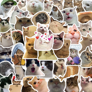 Zanmo Set 50 hình dán sticker chống thấm nước meme mèo dễ thương chống thấm nước