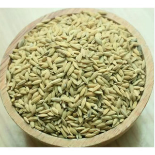 Lúa (thóc dành cho chim, gà, vịt,...) 3 kg