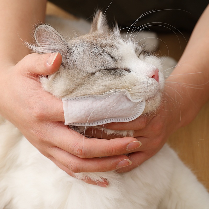 Khăn lao tai,mắt,mũi,miệng cho chó mèo_Khăn lao răng cho chó mèo