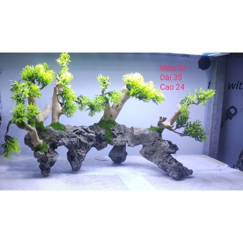 LAYOUT ĐÁ TỰ NHIÊN GẮN CÀNH TÙNG NHỰA VÀ RÊU TRANG TRÍ BỂ CÁ CẢNH