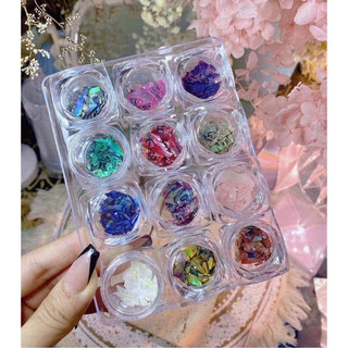 Xà cừ ánh tuyết, xà cừ lẻ, sét xà cừ 12 ô