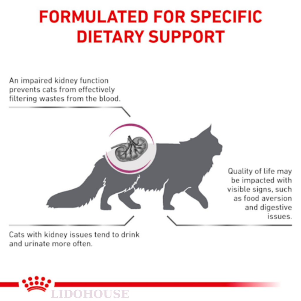 Thức Ăn Cho Mèo ROYAL CANIN Renal Feline Hỗ Trợ Thận – Túi 2Kg – Lido House Shop & Hotel