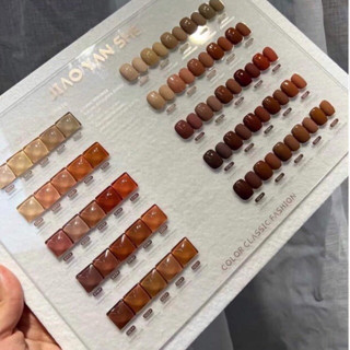 Sơn nâu jiao yan she 25 chai kèm bảng màu/ Sét sơn nâu jiao yan she 25 chai có bảng màu đi kèm