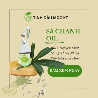 Tinh Dầu Treo Xe Ô Tô – Giúp Khử Mùi – Hơn Cả Sự Đẳng Cấp : Bạc Hà , Sả Chanh , Quế , Chàm