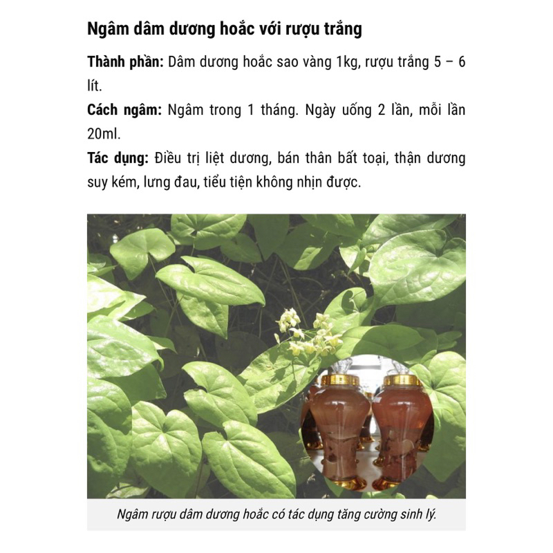 1Kg Dâm Dương Hoắc tăng cường sinh lực phái mạnh