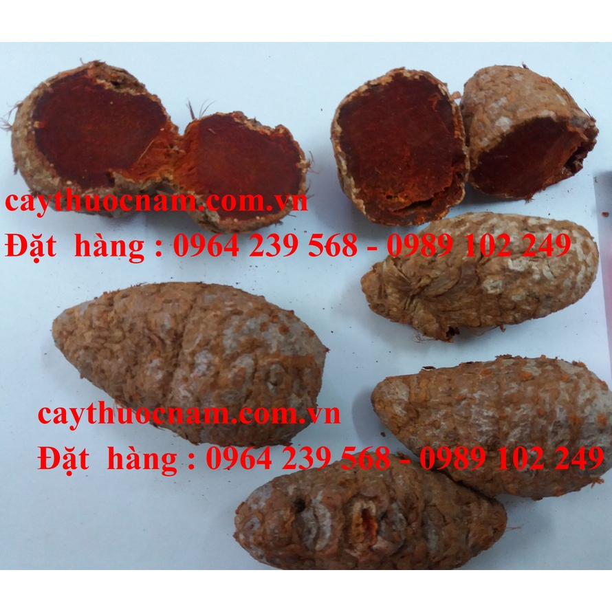 Nhệ Đỏ-Nghệ Xà Cừ- 100gr nguyên củ,Hàng nhà làm, chuyên dùng cho gà đá, bán sỉ gí tốt