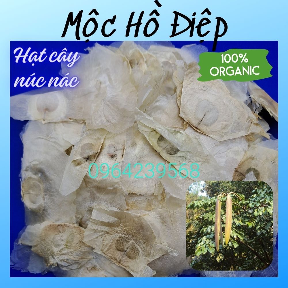 MỘC HỒ ĐIỆP, Túi 100gr, hàng mới, sạch