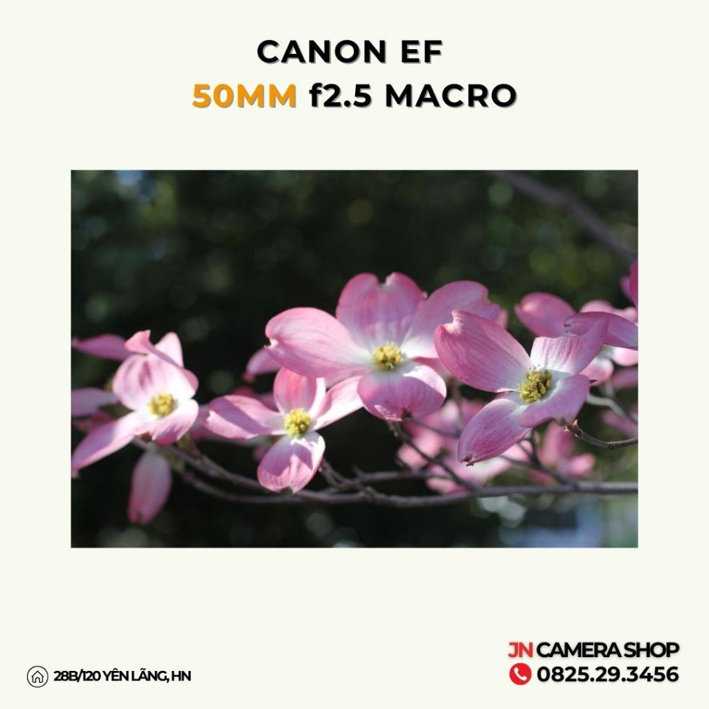 Ống kính Canon EF 50mm f2.5 Macro mới 99%