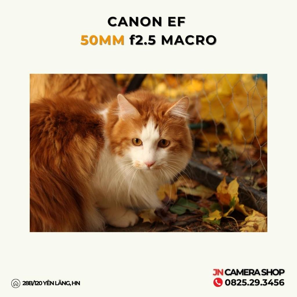 Ống kính Canon EF 50mm f2.5 Macro mới 99%