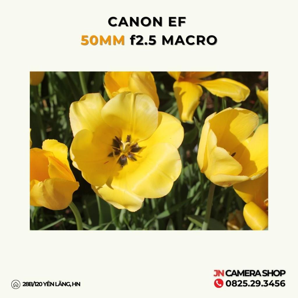 Ống kính Canon EF 50mm f2.5 Macro mới 99%