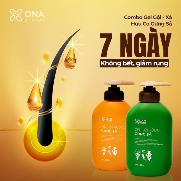 Dầu Gội Hữu Cơ Gừng Sả Cỏ Cây Hoa Lá - Ngăn dầu bết tóc và giảm gàu ngứa1000ml hoặc 500g Ha Chi JSC