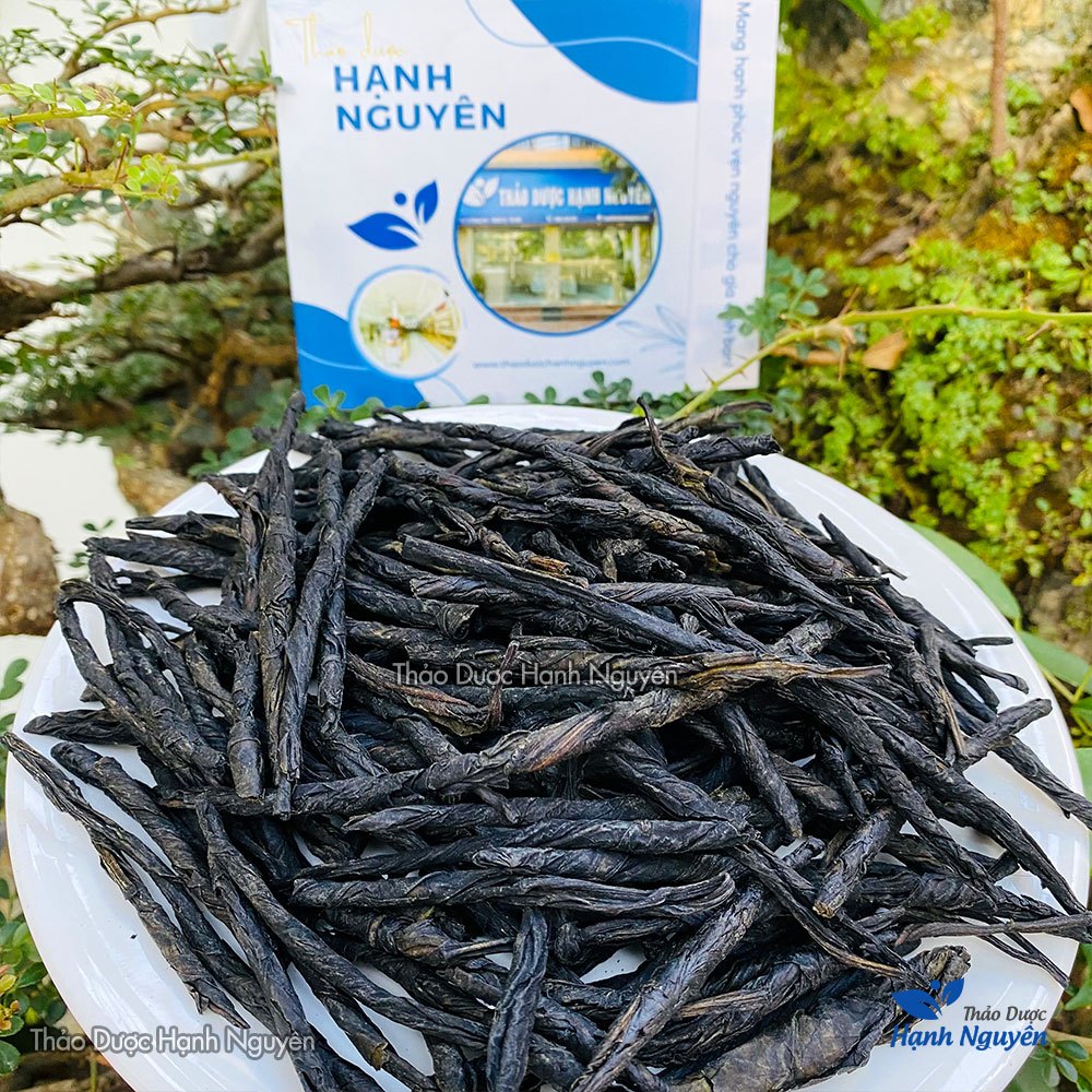 Chè đắng cao bằng 100g-500g  - Thảo Dược Hạnh Nguyên