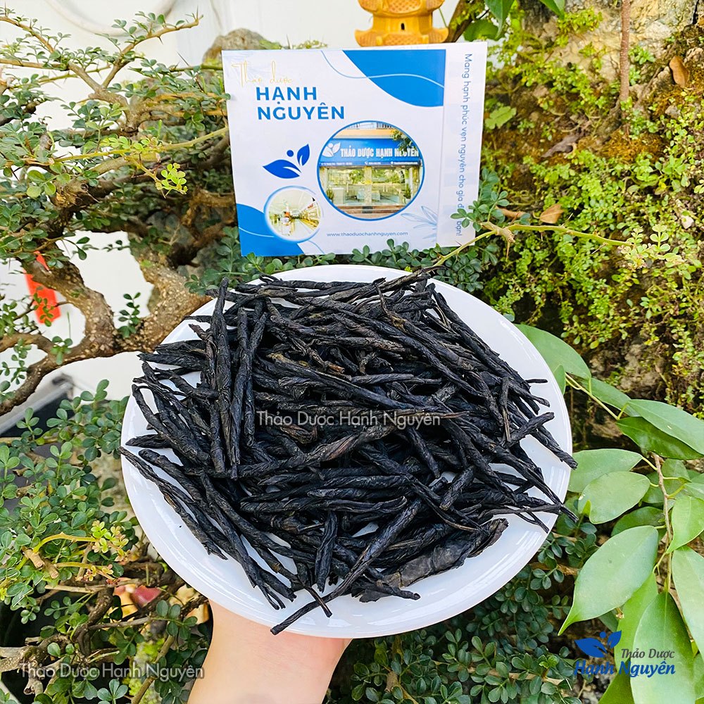 Chè đắng cao bằng 100g-500g  - Thảo Dược Hạnh Nguyên