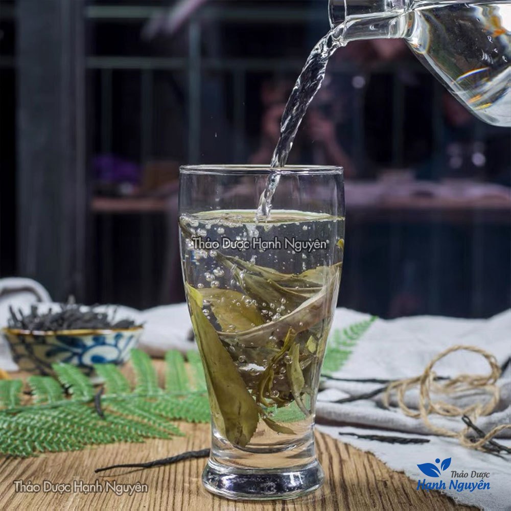 Chè đắng cao bằng 100g-500g  - Thảo Dược Hạnh Nguyên