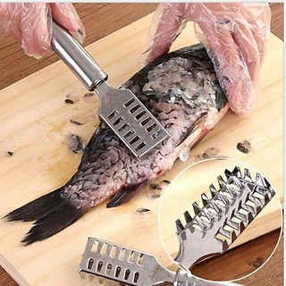 Dụng cụ đánh vảy cá, cạo vảy cá bằng thép không gỉ.