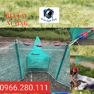 Đăng chặn sông,rớn chặn sông bắt tôm ,cua ,cá..