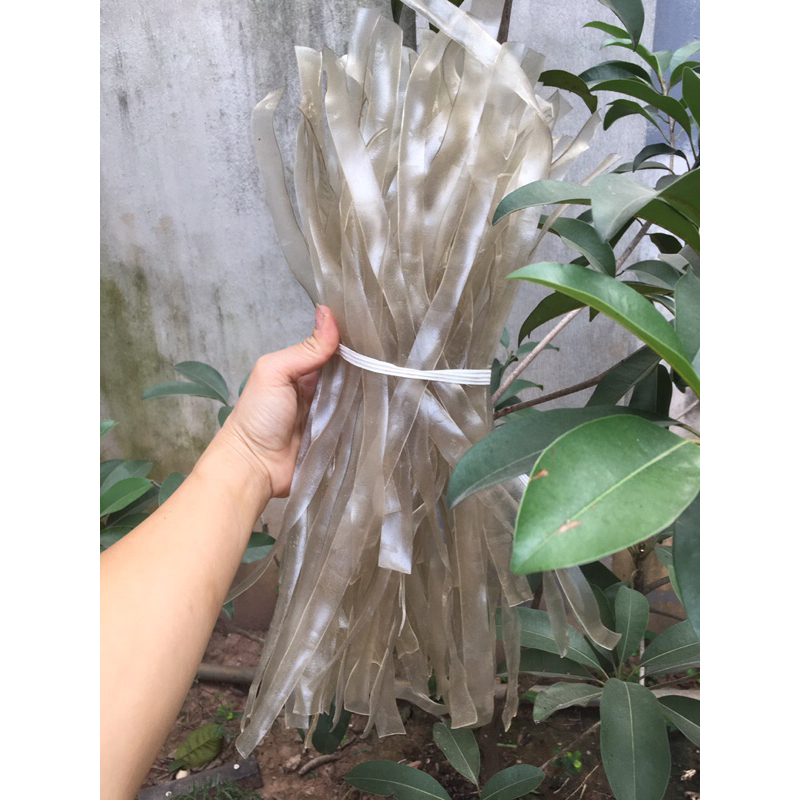 Miến rong dẹt thái tay, dai ngon từng sợi