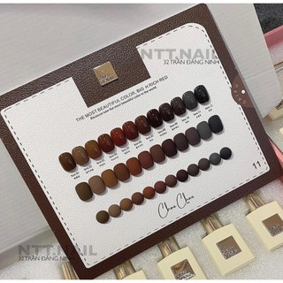 Sơn Nâu Caifu, Sơn tone nâu, sơn nâu hot 2024 , tông nâu cao cấp, Set sơn nâu 12 chai