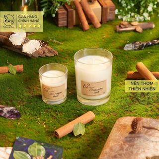 Nến Thơm Hương Quế (Cinnamon), Tỏa Handmade Candle, Nến Thơm Thư Giãn