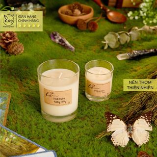 Nến Thơm Concept Foresty, Tỏa Handmade Candles, Nến Thơm Thư Giãn