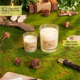 Nến Thơm Mùi Gỗ Thông, Tỏa Handmade Candle, Nến Thơm Thư Giãn, Tone Thanh Mát