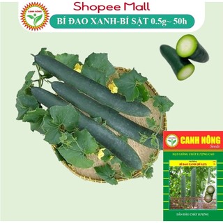 Hạt Giống Bí Đao Xanh (Bí Sặt Cao Sản) Trái Dài Sinh Trưởng Khỏe, Trồng Quanh Năm (Gói 0,2gr~50h) - Hạt Giống CANH NÔNG