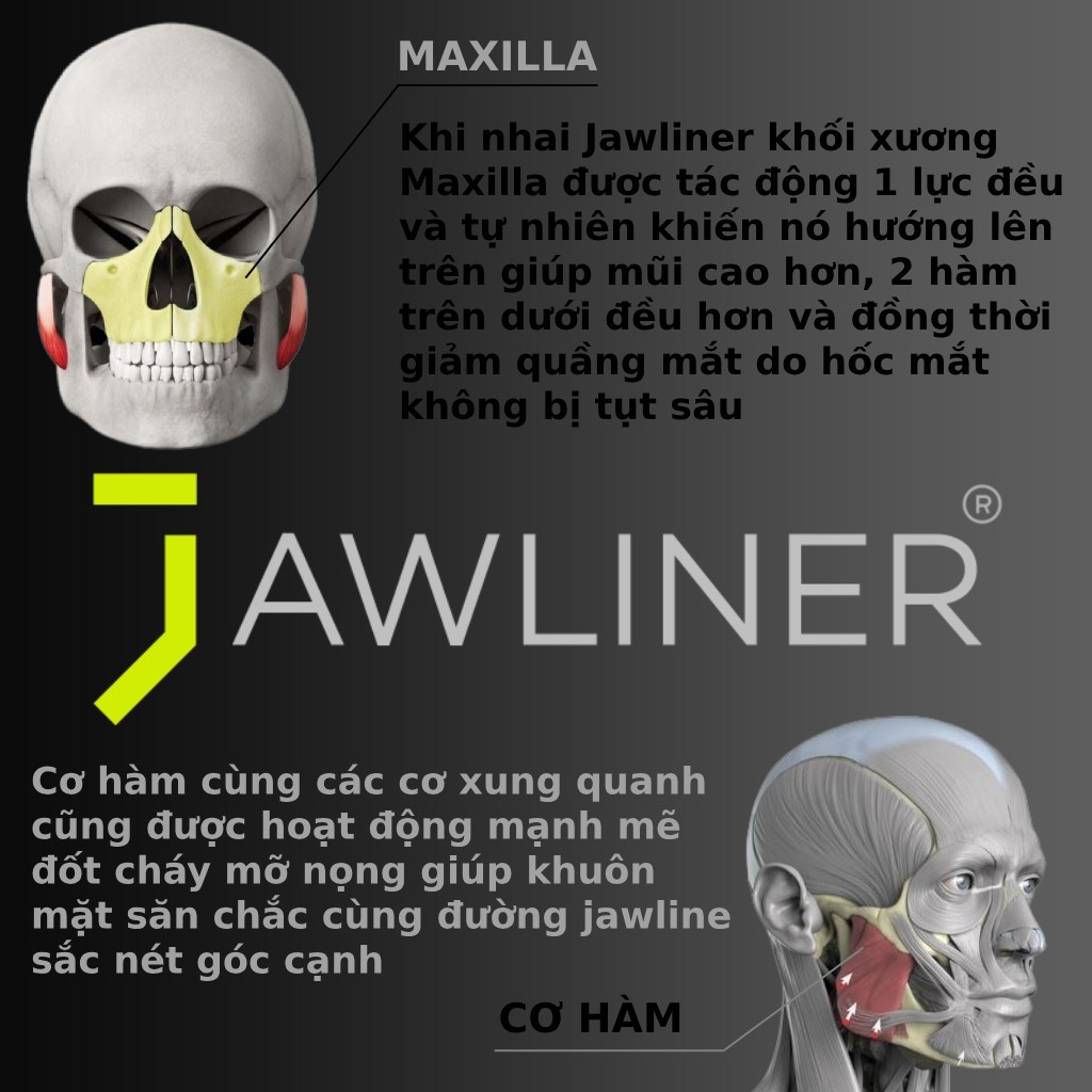 CHEWING GUM Túi 47 viên nhai tập cơ hàm giảm mỡ nọng phát triển cơ hàm, mũi và jawline, jawliner dạng singum jawliner.vn
