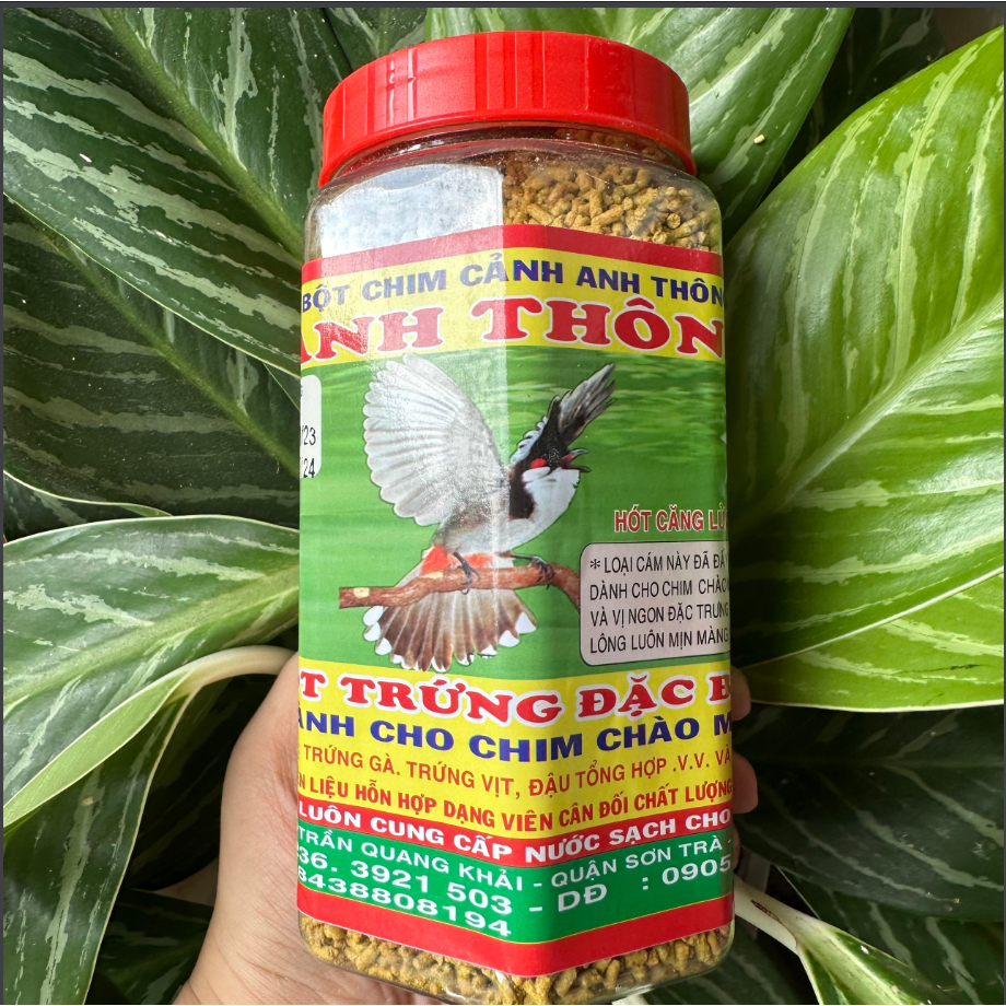 Cám chim Anh Thông - Chào Mào - 300/500gam
