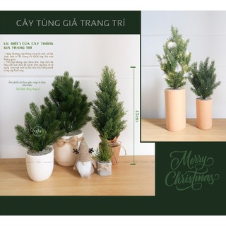 Cây giả,Chậu cây Thông, Tùng trang trí noel, giáng sinh