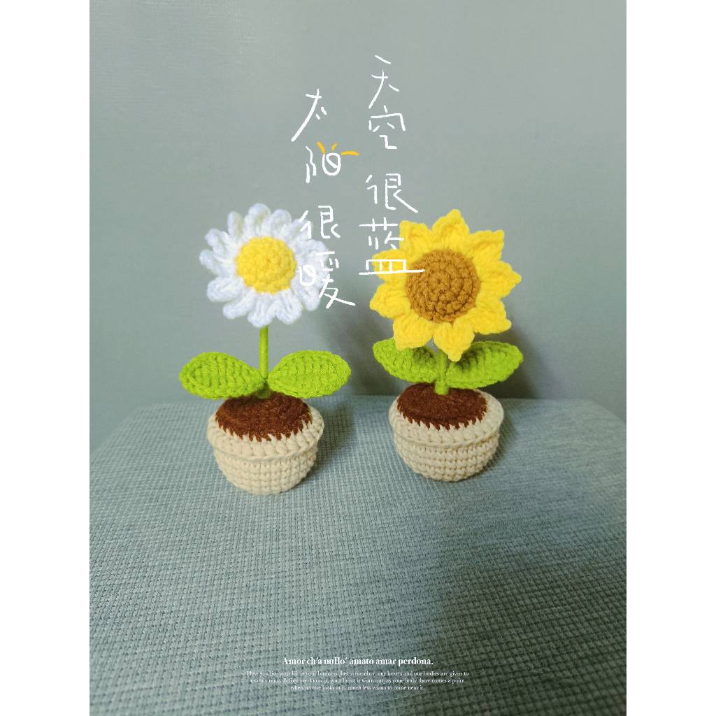Chậu Hoa Cúc họa mi/ hướng dương bằng len mini