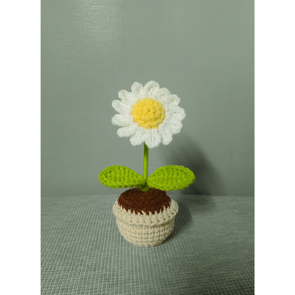 Chậu Hoa Cúc họa mi/ hướng dương bằng len mini