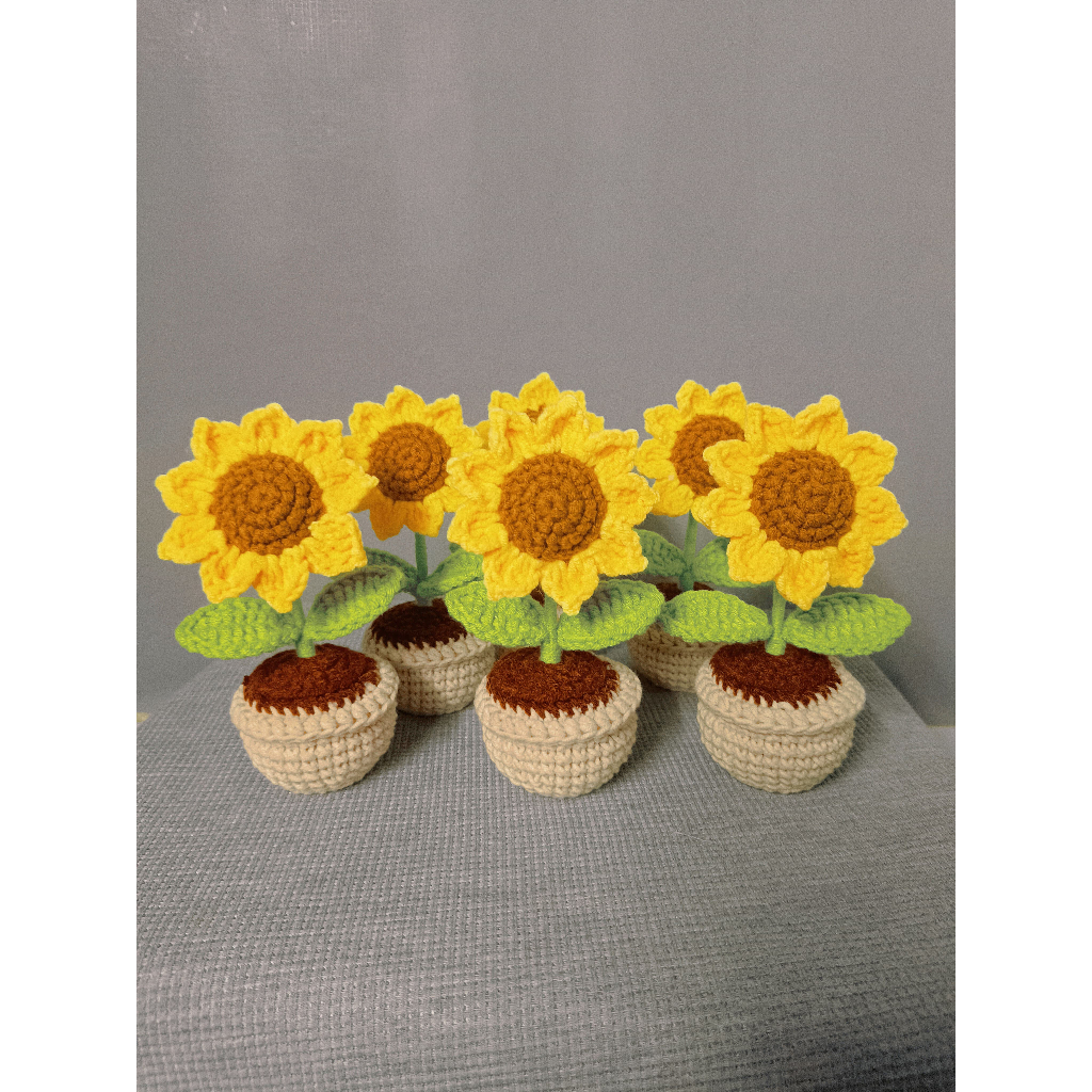 Chậu Hoa Cúc họa mi/ hướng dương bằng len mini