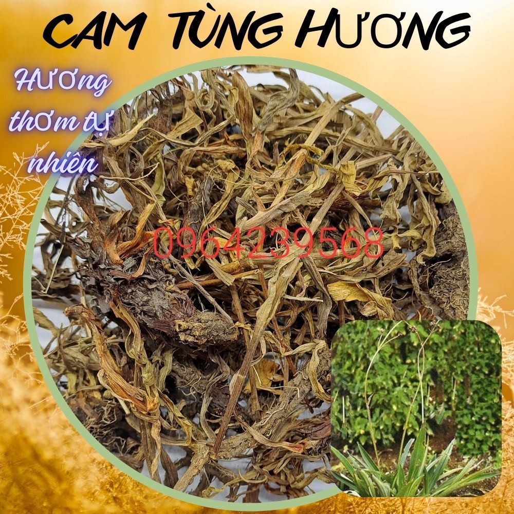CAM TÙNG HƯƠNG, Túi 100g sấy khô, hương thơm tự nhiên