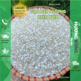 Gạo Nếp Nương Điện Biên,gạo đặc sản Tây Bắc bao 5kg