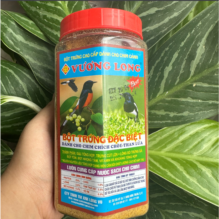 Cám chim chích chòe dạng bột Vương Long - 500gr