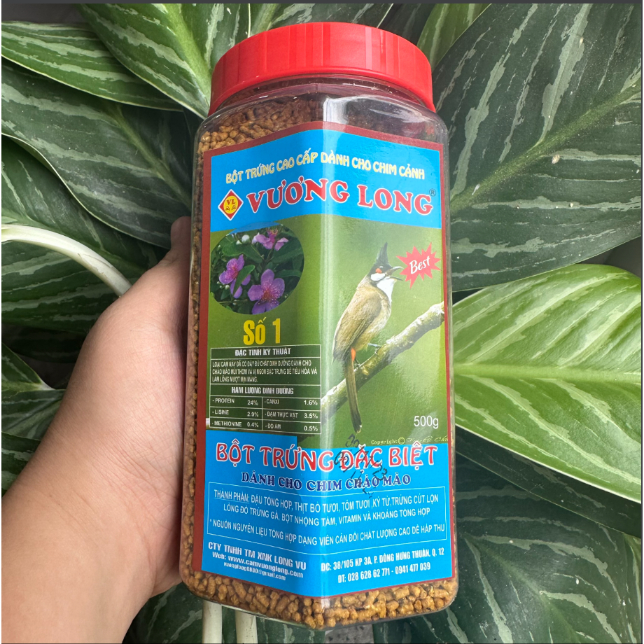 Cám chim chào mào Vương Long số 1 ăn thường - 500gr