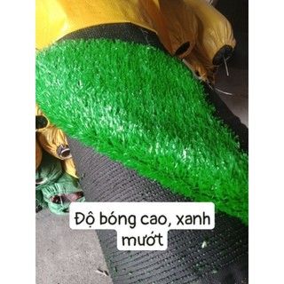 50m2 thảm cỏ 1,5cm loại đẹp