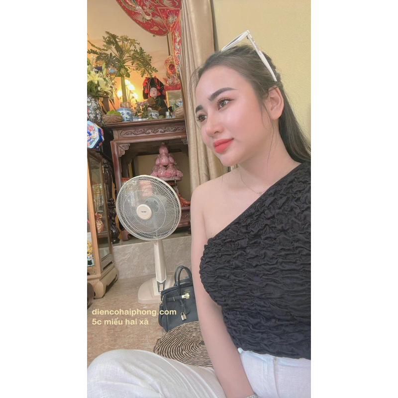 QUẠT LỬNG HATARI HB-S16M7